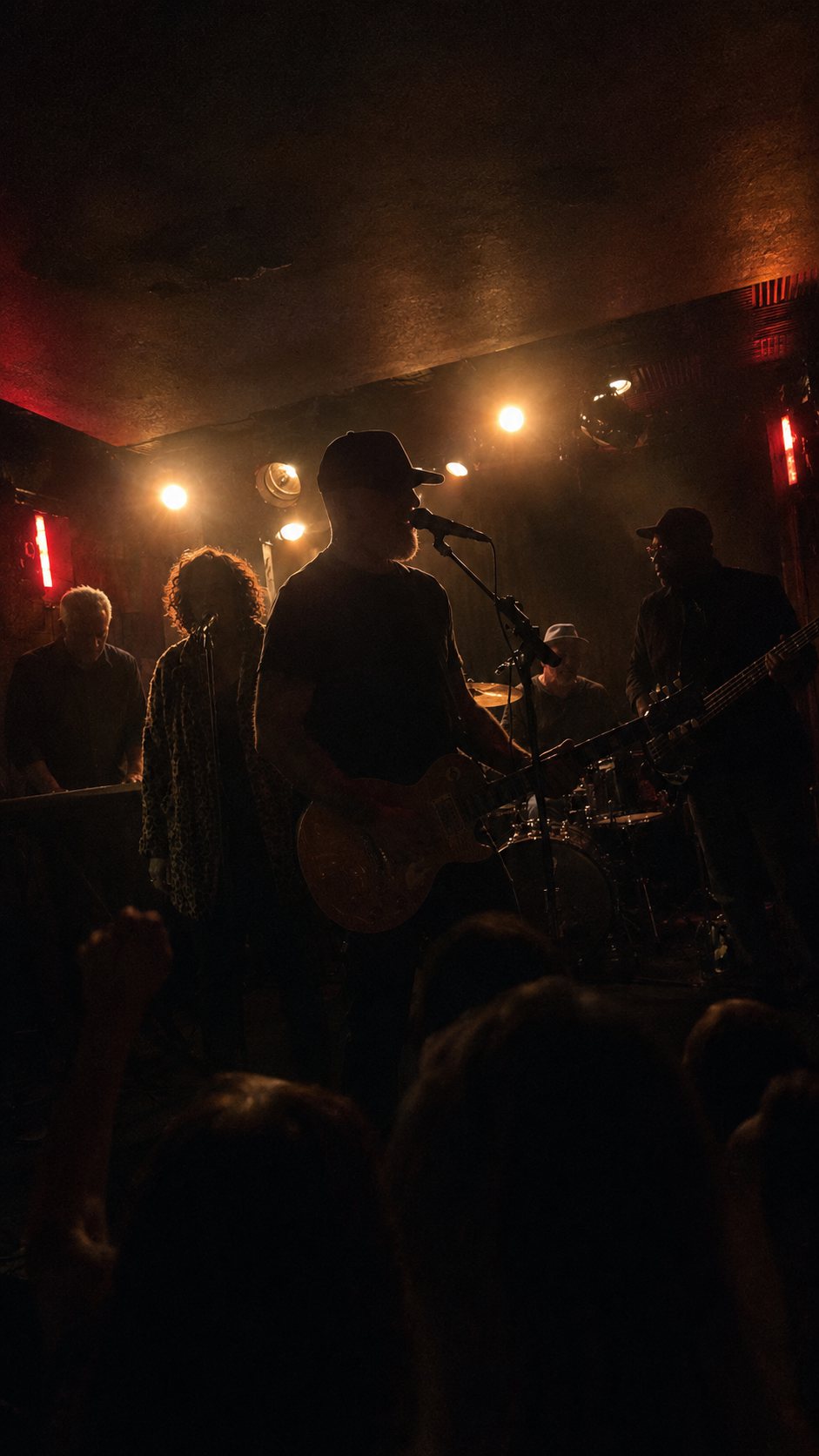 The band in silhouette under a low ceiling and stage lights, heads of the crowd across the bottom of the frame.